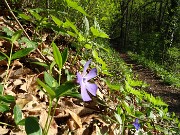 13 Saliamo il sentiero per la 'Palestra di roccia'